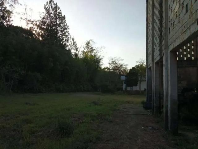 Terreno aluguel em Jardim Caçula, Ribeirão Pires