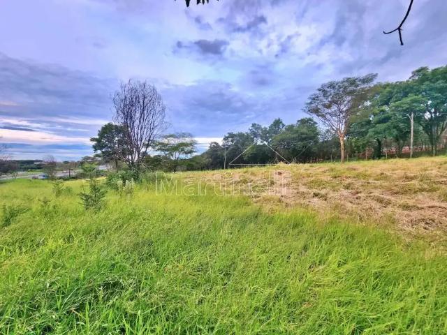 Terreno aluguel em Região Imediata de Ribeirão Preto, Região Metropolitana de Ribeirão Preto