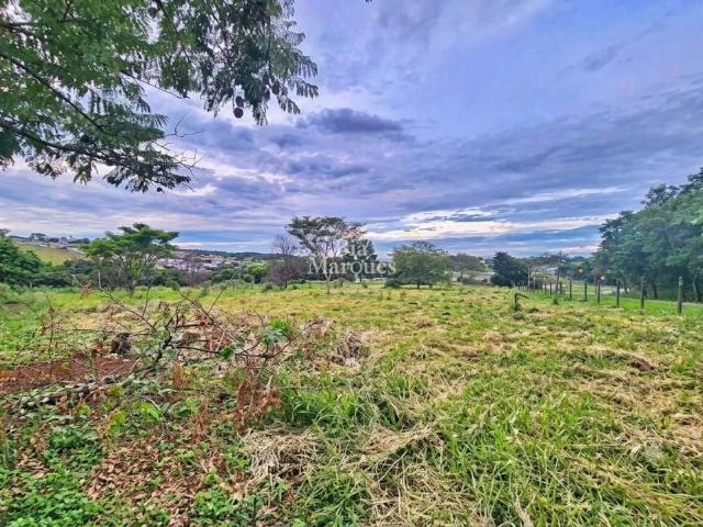 Terreno aluguel em Bonfim Paulista, Ribeirão Preto