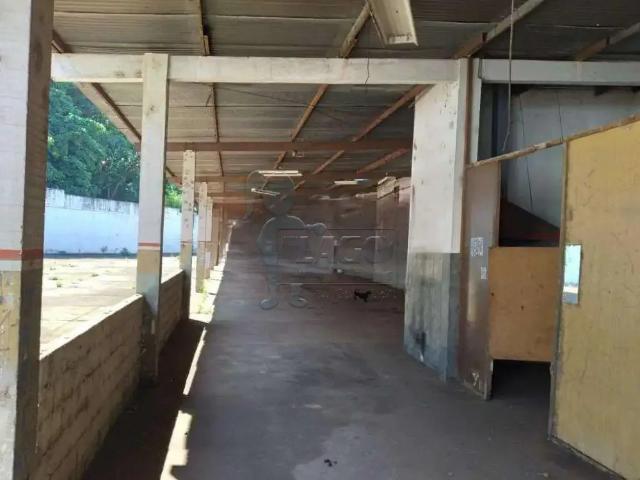 Terreno aluguel em Região Imediata de Ribeirão Preto, Região Metropolitana de Ribeirão Preto