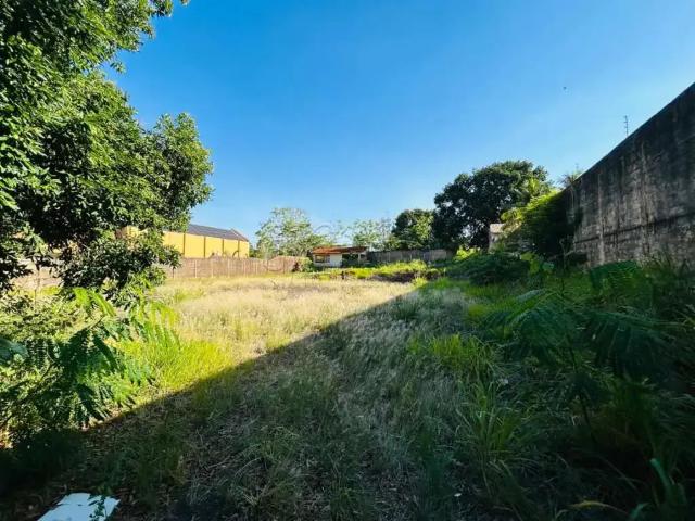 Terreno aluguel em Região Imediata de Ribeirão Preto, Região Metropolitana de Ribeirão Preto
