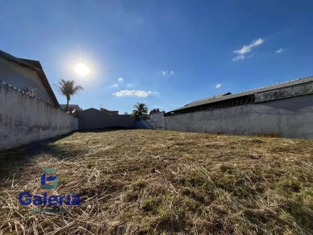 Terreno aluguel em Ribeirão Preto
