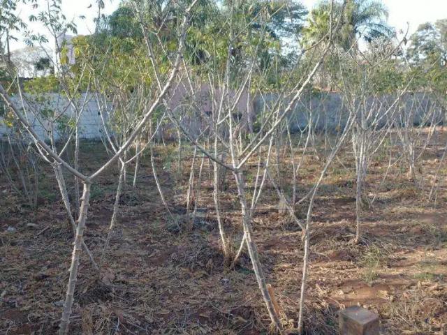 Terreno aluguel em Região Imediata de Ribeirão Preto, Região Metropolitana de Ribeirão Preto