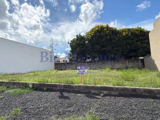 Terreno aluguel em Ribeirão Preto