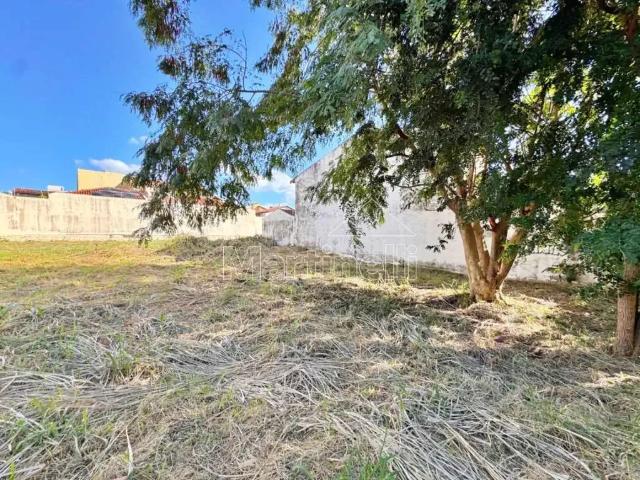 Terreno aluguel em Região Imediata de Ribeirão Preto, Região Metropolitana de Ribeirão Preto