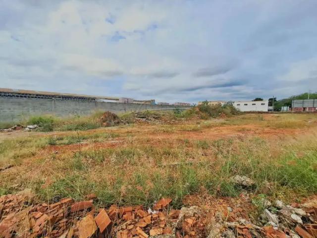 Terreno aluguel em Região Imediata de Ribeirão Preto, Região Metropolitana de Ribeirão Preto