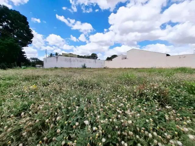 Terreno aluguel em Região Imediata de Ribeirão Preto, Região Metropolitana de Ribeirão Preto
