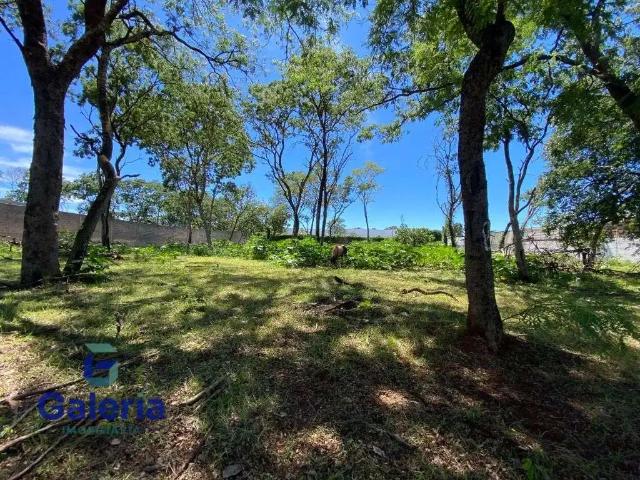 Terreno aluguel em Região Imediata de Ribeirão Preto, Região Metropolitana de Ribeirão Preto