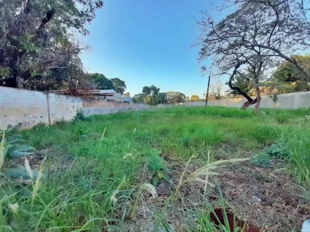 Terreno aluguel em Região Imediata de Ribeirão Preto, Região Metropolitana de Ribeirão Preto