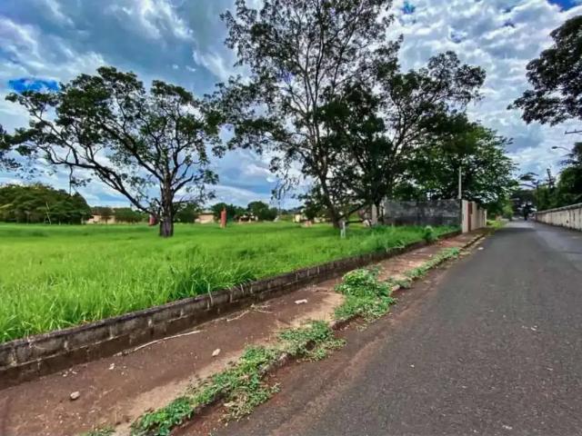 Terreno aluguel em Região Imediata de Ribeirão Preto, Região Metropolitana de Ribeirão Preto