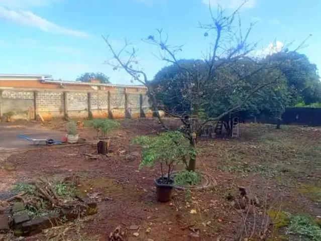 Terreno aluguel em Região Imediata de Ribeirão Preto, Região Metropolitana de Ribeirão Preto