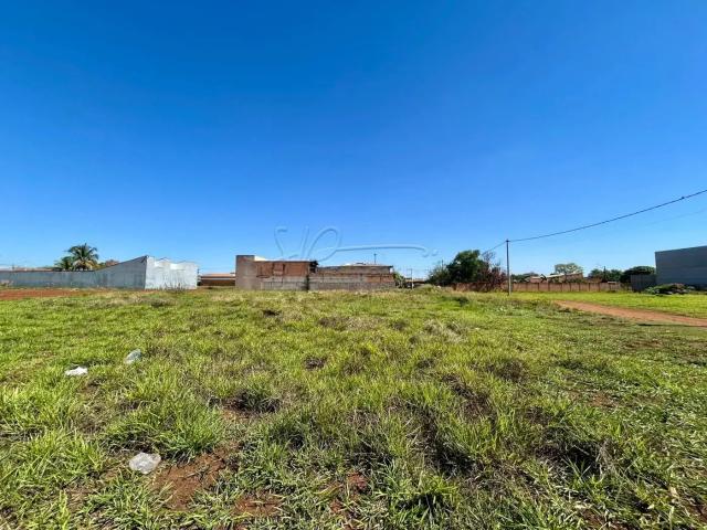 Terreno aluguel em Região Imediata de Ribeirão Preto, Região Metropolitana de Ribeirão Preto