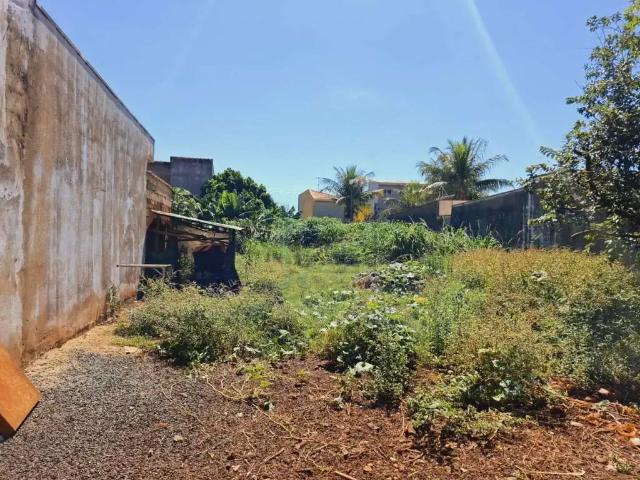 Terreno aluguel em Região Imediata de Ribeirão Preto, Região Metropolitana de Ribeirão Preto