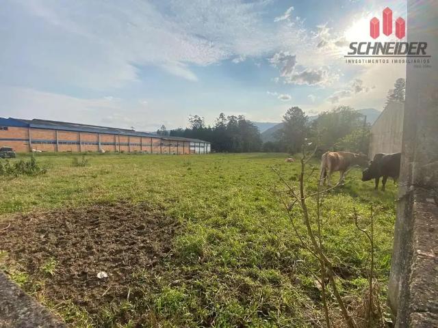 Terreno aluguel em Região Geográfica Imediata de Blumenau, Rodeio