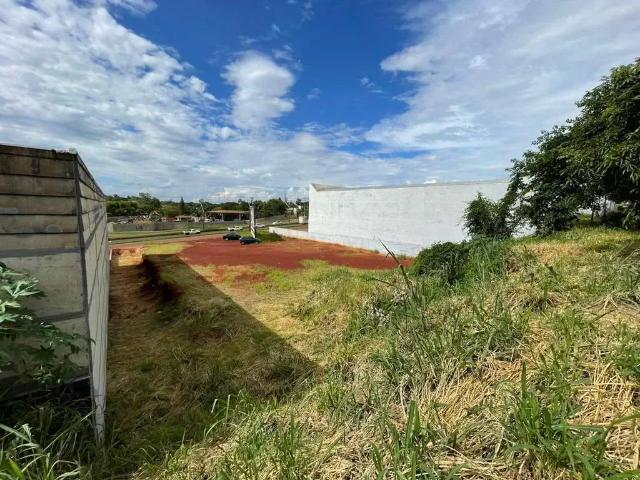 Terreno aluguel em Região Geográfica Imediata de Londrina, Rolândia