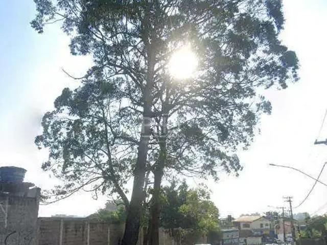 Terreno aluguel em Região Imediata de São Paulo, Região Metropolitana de São Paulo