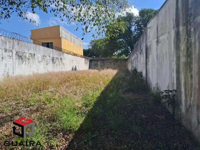 Terreno aluguel em Baeta Neves, São Bernardo do Campo