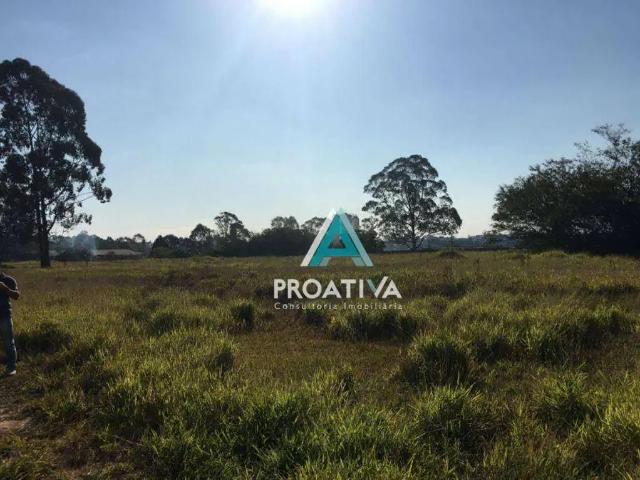 Terreno aluguel em Região Imediata de São Paulo, Região Metropolitana de São Paulo