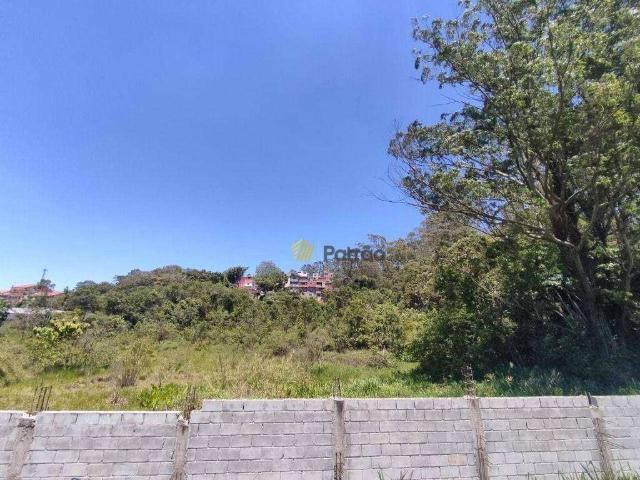 Terreno aluguel em Cooperativa, São Bernardo do Campo