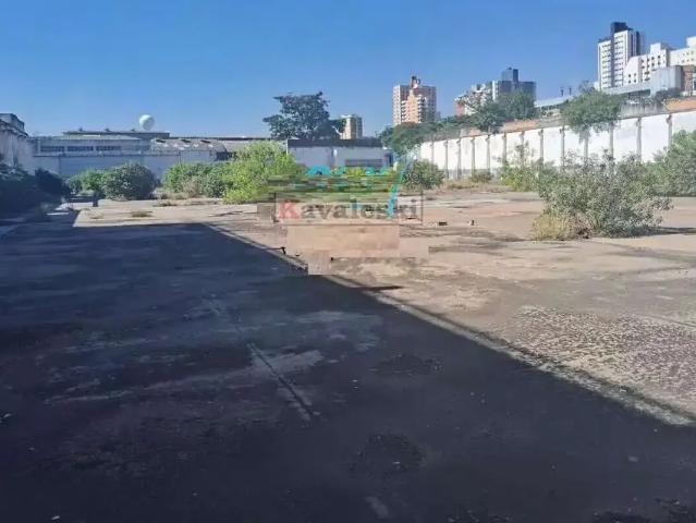 Terreno aluguel em São Caetano do Sul