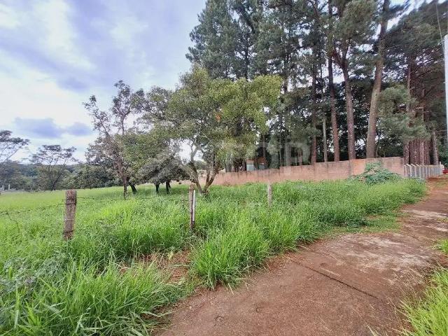 Terreno aluguel em Região Imediata de São Carlos, São Carlos