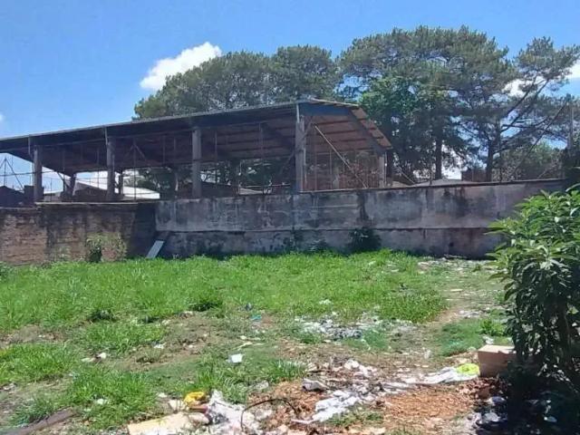 Terreno aluguel em Região Imediata de São Carlos, São Carlos