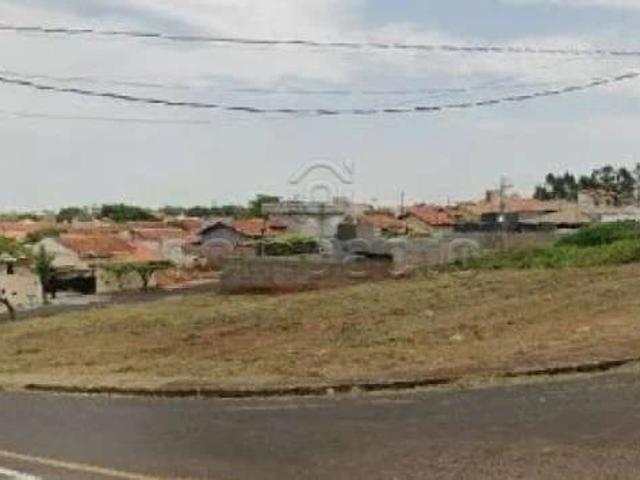 Terreno aluguel em São José do Rio Preto