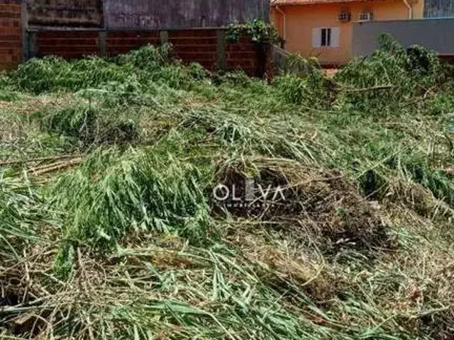 Terreno aluguel em Região Imediata de São José do Rio Preto, Região Metropolitana de São José do Rio Preto
