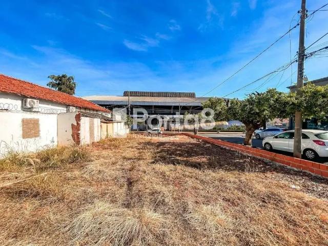 Terreno aluguel em Região Imediata de São José do Rio Preto, Região Metropolitana de São José do Rio Preto