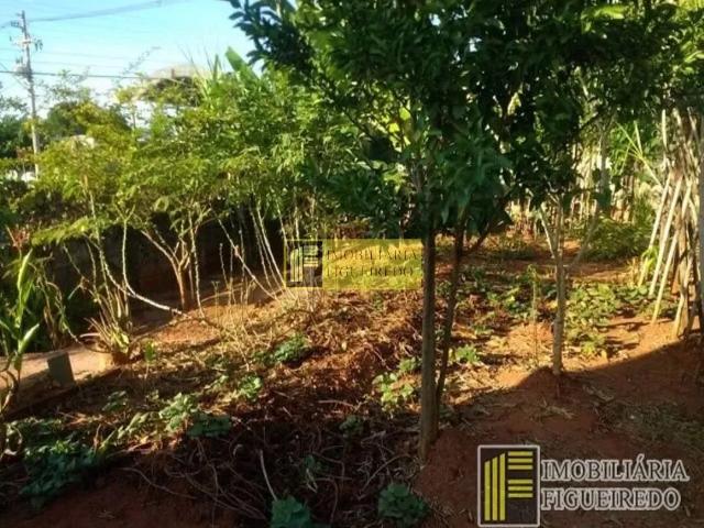 Terreno aluguel em Região Imediata de São José do Rio Preto, Região Metropolitana de São José do Rio Preto