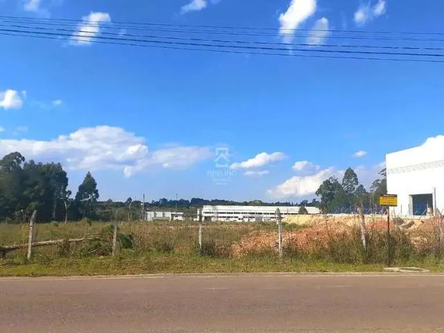 Terreno aluguel em Região Geográfica Imediata de Curitiba, Região Metropolitana de Curitiba