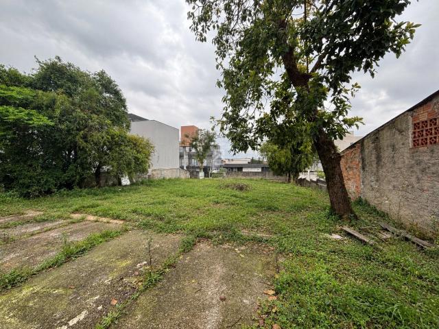 Terreno aluguel em Cidade Jardim, São José dos Pinhais