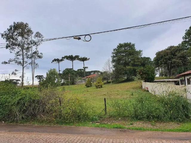 Terreno aluguel em Região Geográfica Imediata de Curitiba, Região Metropolitana de Curitiba