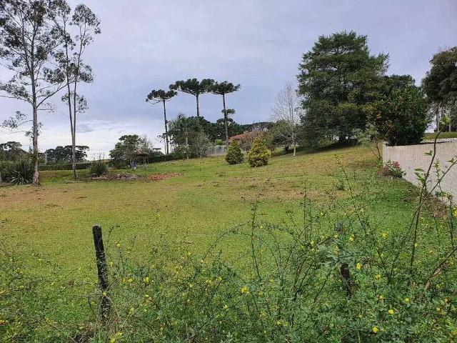 Terreno aluguel em Região Geográfica Imediata de Curitiba, Região Metropolitana de Curitiba