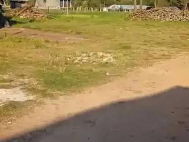 Terreno aluguel em Região Geográfica Imediata de Curitiba, Região Metropolitana de Curitiba