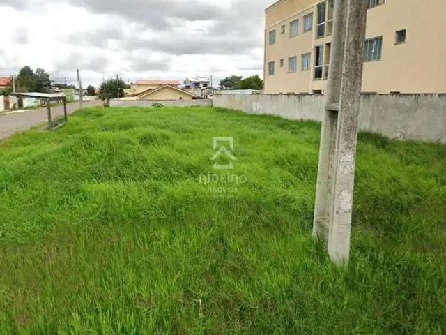 Terreno aluguel em Região Geográfica Imediata de Curitiba, Região Metropolitana de Curitiba