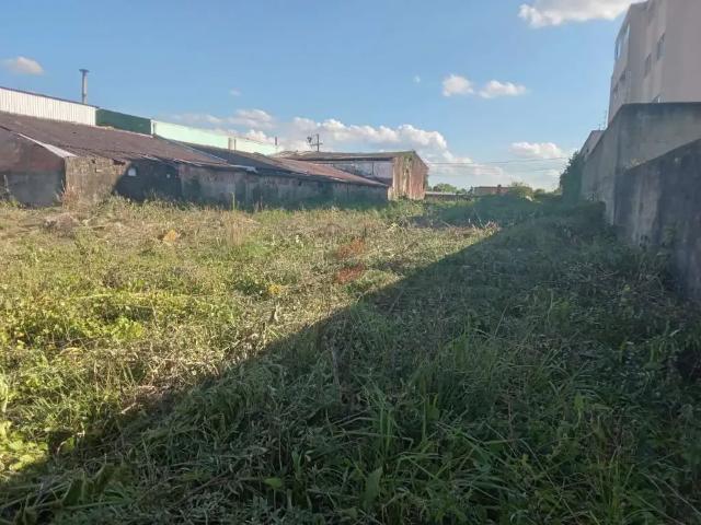 Terreno aluguel em Região Geográfica Imediata de Curitiba, Região Metropolitana de Curitiba