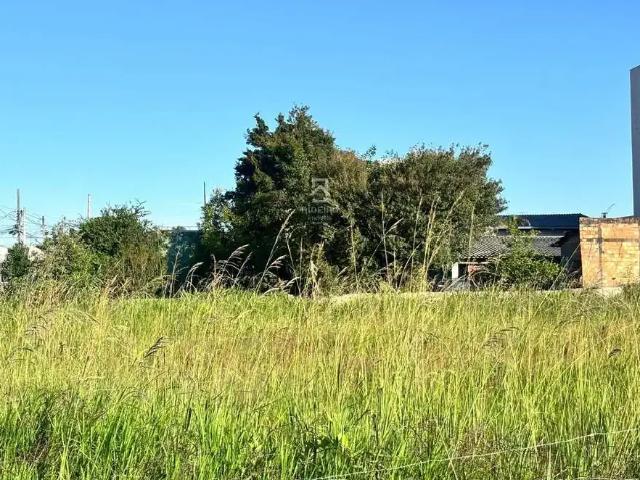 Terreno aluguel em Região Geográfica Imediata de Curitiba, Região Metropolitana de Curitiba