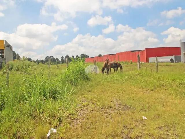 Terreno aluguel em Região Geográfica Imediata de Curitiba, Região Metropolitana de Curitiba