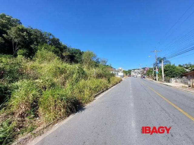 Terreno aluguel em Região Geográfica Imediata de Florianópolis, São José