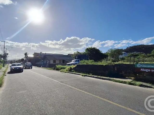 Terreno aluguel em Região Geográfica Imediata de Florianópolis, São José
