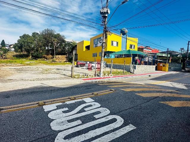 Terreno aluguel em Flor de Nápolis, São José