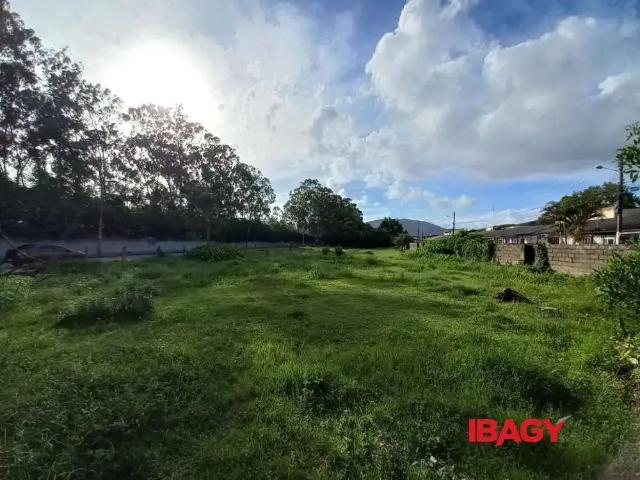 Terreno aluguel em Região Geográfica Imediata de Florianópolis, São José