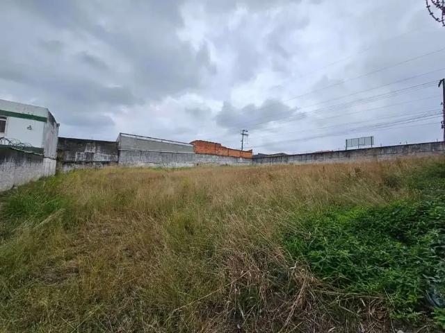 Terreno aluguel em Região Geográfica Imediata de Florianópolis, São José