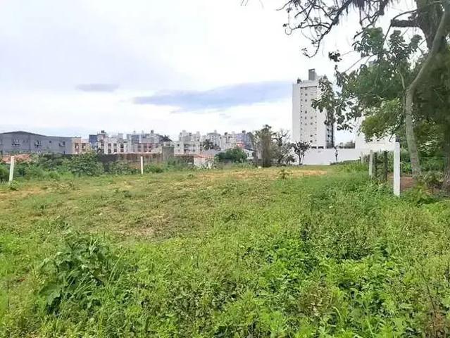 Terreno aluguel em Região Geográfica Imediata de Florianópolis, São José