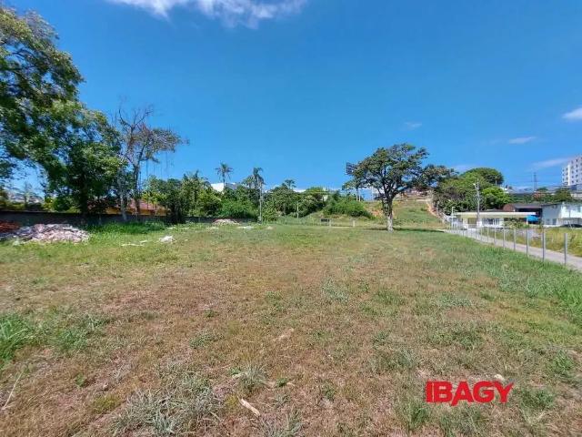 Terreno aluguel em Serraria, São José