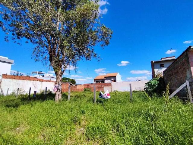 Terreno aluguel em Região Geográfica Imediata de Novo Hamburgo - São Leopoldo, Região Metropolitana de Porto Alegre