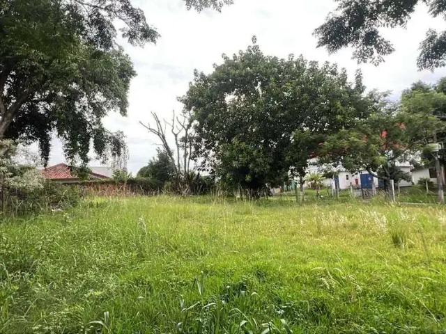 Terreno aluguel em Região Geográfica Imediata de Novo Hamburgo - São Leopoldo, Região Metropolitana de Porto Alegre