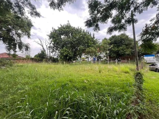 Terreno aluguel em Região Geográfica Imediata de Novo Hamburgo - São Leopoldo, Região Metropolitana de Porto Alegre