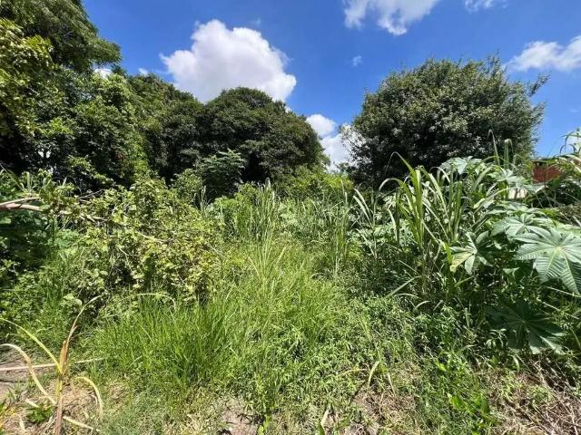 Terreno aluguel em Região Geográfica Imediata de Novo Hamburgo - São Leopoldo, Região Metropolitana de Porto Alegre